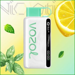 پاد یکبار مصرف VOZOL انرژی زا 12000 پاف