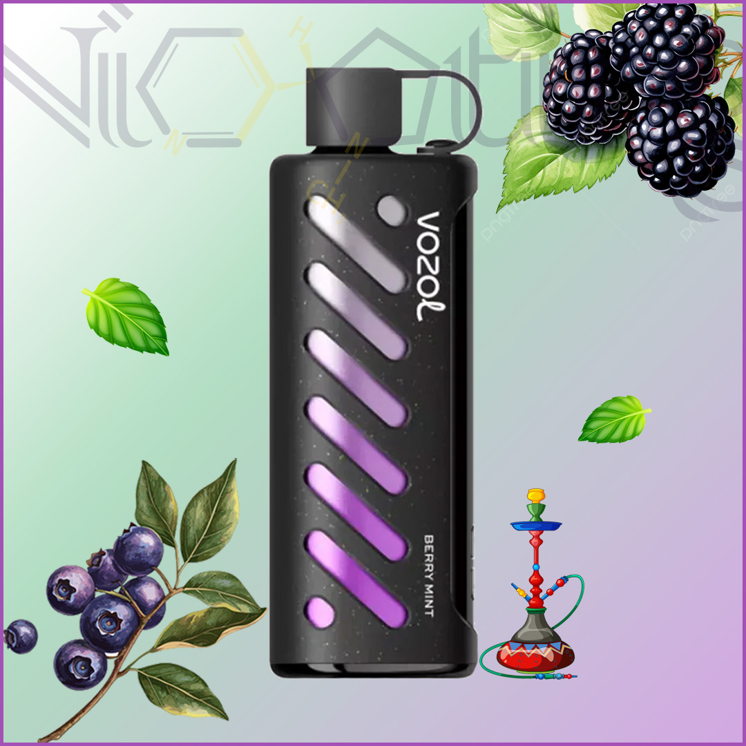 Vozol motori berry mint پاد یکبار مصرف بری نعنا 25 هزار پاف نیکوتین پایین(VOZOL)