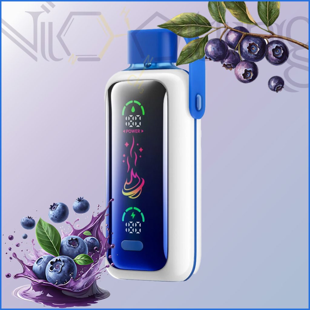 پاد یکبار مصرف وزول طوفان بلوبری 20000 پاف ( Vozol blueberry storm)