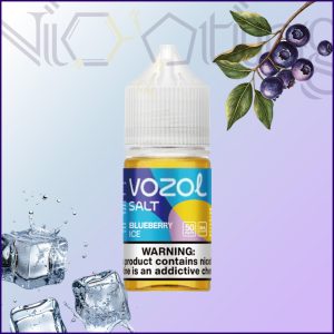سالت وزول بلوبری یخ 30 میلی لیتر(Vozol)