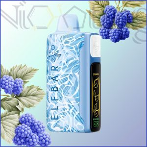 پاد یکبار مصرف الف بار نیک کینگ شاه رزبری آبی 30000 پاف (Elfbar nicking 30k bluerazz)