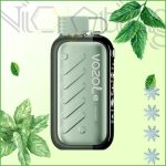 پاد یکبار مصرف وزول آیس اند سوییت سوپر نعنا 50000 پاف(VOZOL Gear Ice&sweet 50k Super Mint)