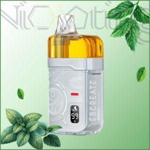 پاد یکبار مصرف الف بار نعنا 40000 پاف(Ebcreat BC Pro 40k Black Mint)