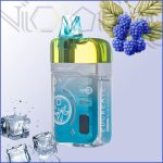 پاد یکبار مصرف الف بار رزبری آبی یخ 40000 پاف(Ebcreat BC Pro 40k Blue Razz Ice)