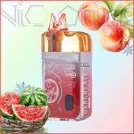 پاد یکبار مصرف الف بار هندوانه هلو یخ 40000 پاف(Ebcreat BC Pro 40k Watermelon Peach Frost)
